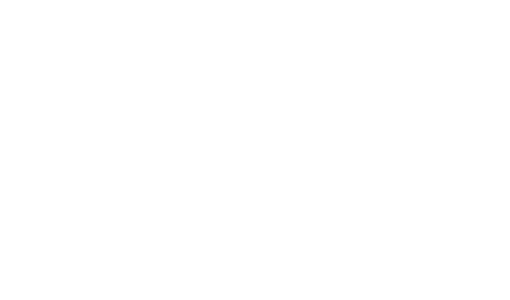 internet days